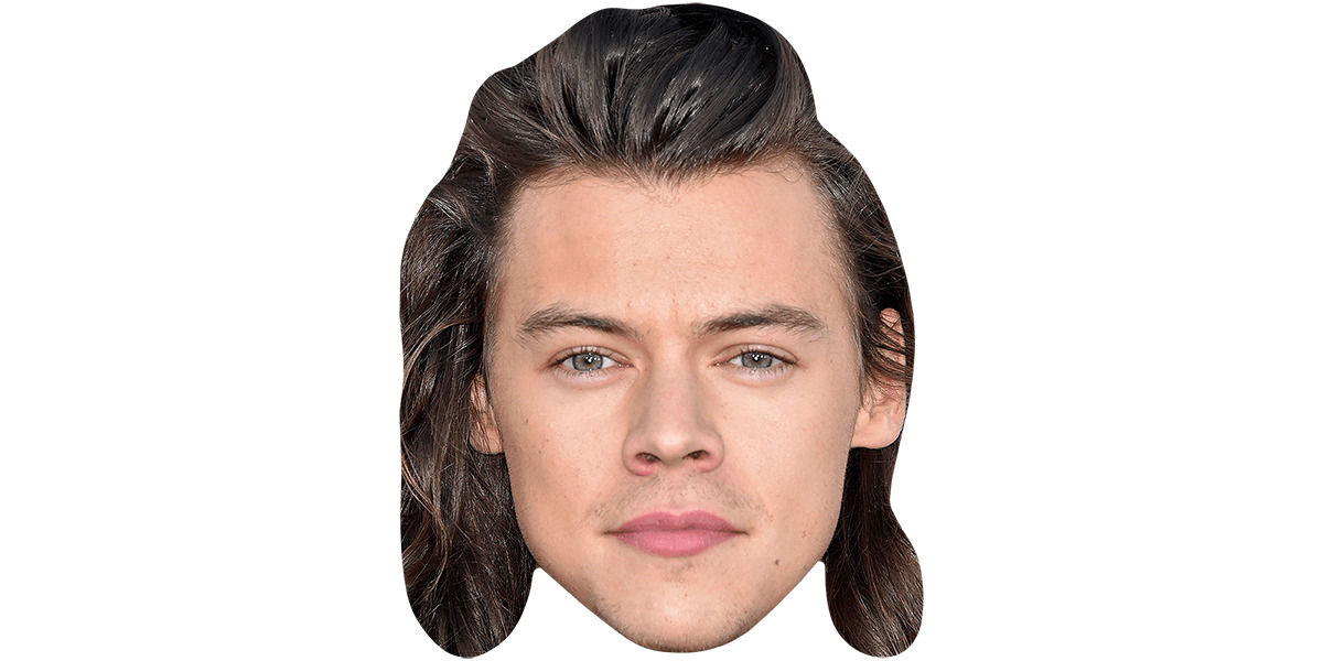 Harry Styles (Long Hair) Mask -