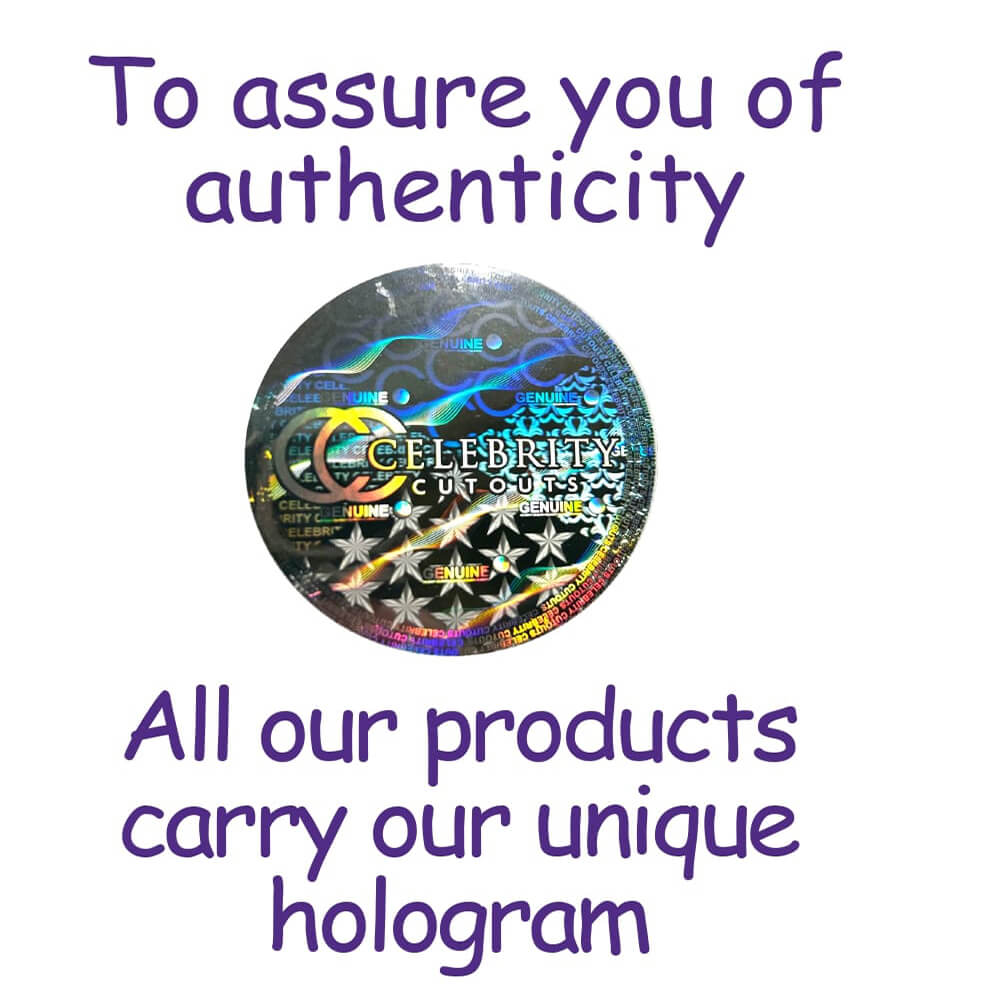 Product hologram