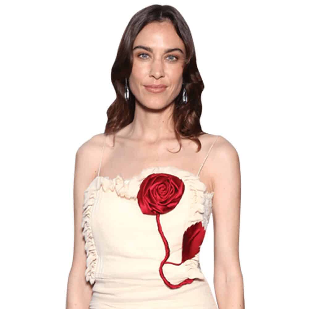 Alexa Chung (Long Dress) Buddy Torso Up Cutout